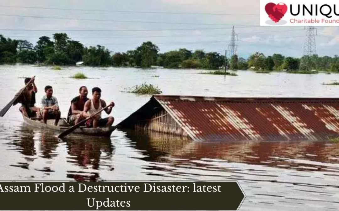 Assam Flood a Destructive Disaster: latest Updates
