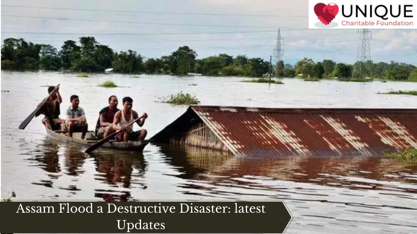 Assam Flood a Destructive Disaster: latest Updates