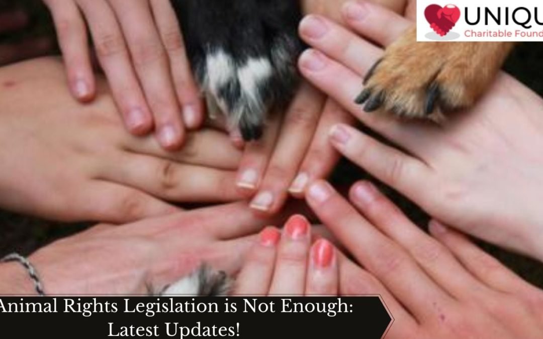 Animal Rights Legislation is Not Enough: Latest Updates!