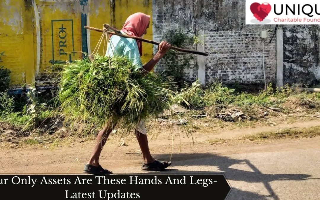 Our Only Assets Are These Hands And Legs- Latest Updates