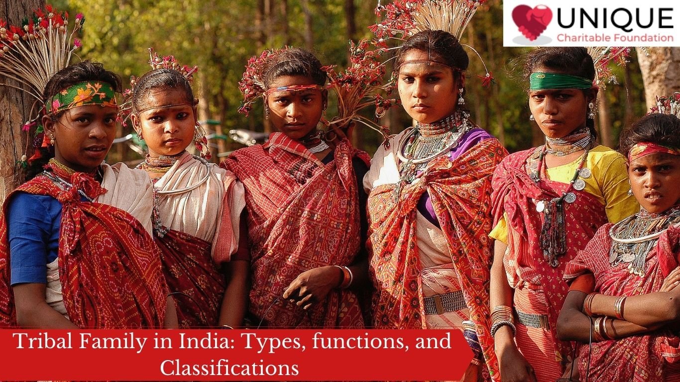 Tribal Family in India: Types, functions, and Classifications